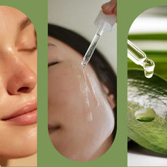 Tea tree olej: Kompletní průvodce účinky a využitím čajovníkového oleje