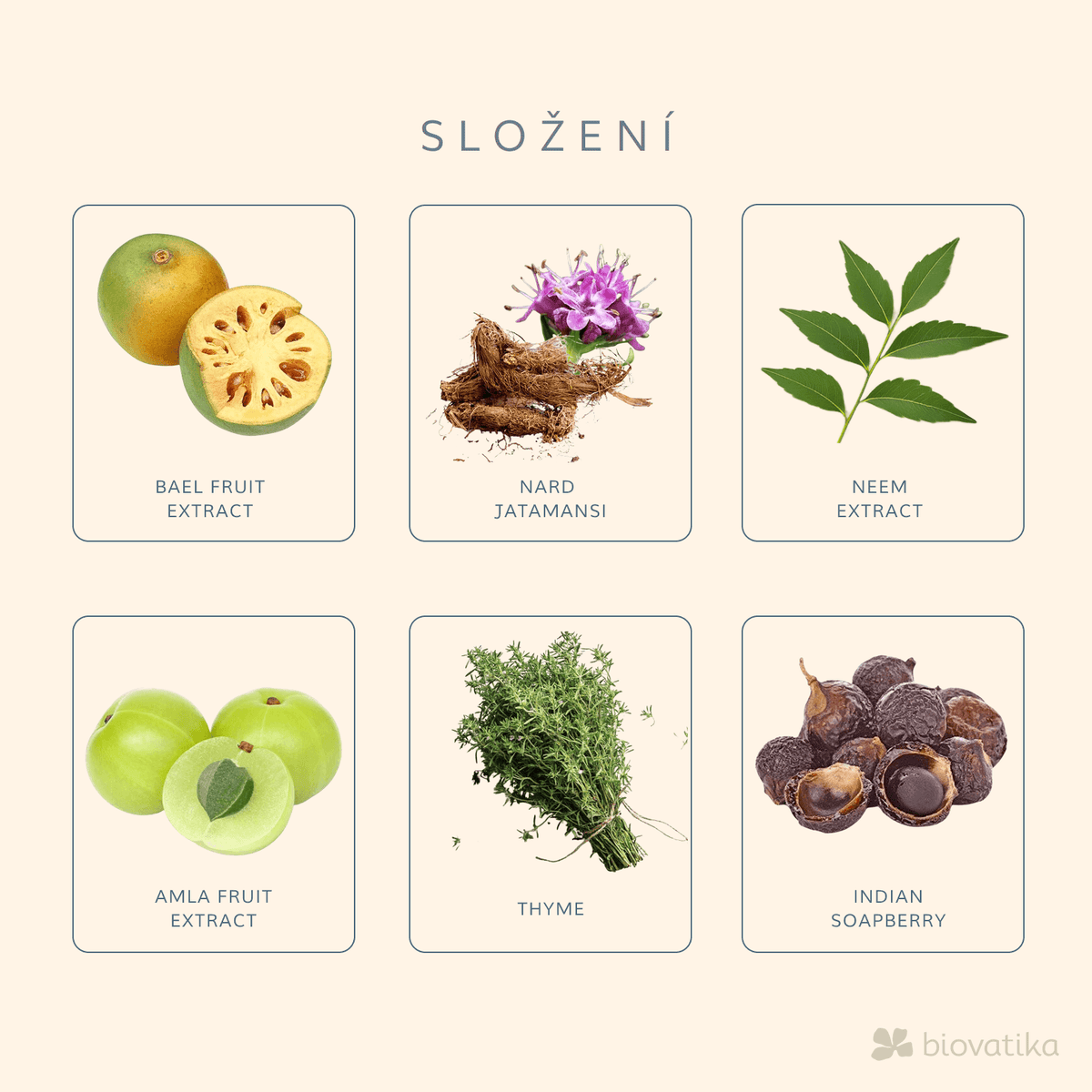 V části "SLOŽENÍ" je v šesti rámečcích se složkami uvedeno, že klíčové byliny, jako je bael fruit, nard jatamansi, neem, amla, tymián a indické mydlice, jsou základními složkami přípravku BIOVATIKA Hair Growth Booster 3v1 šampon, sérum a aplikátor pro růst vlasů.