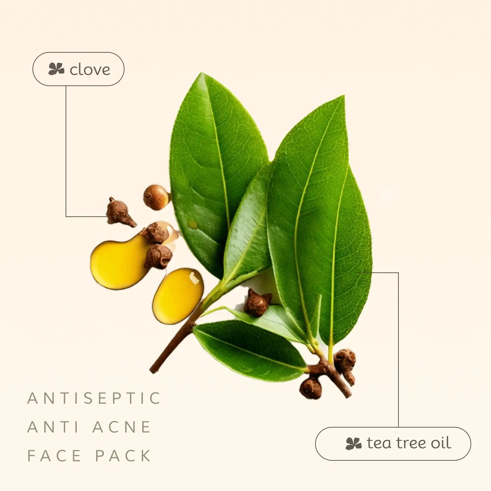 Ájurvédská maska proti akné – Tea Tree & hřebíčkový olej