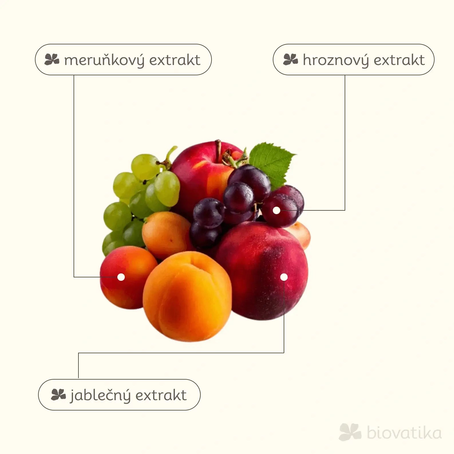 Ovocná pleťová maska s jablkem a hroznovým olejem – Rozjasnění a omlazuje