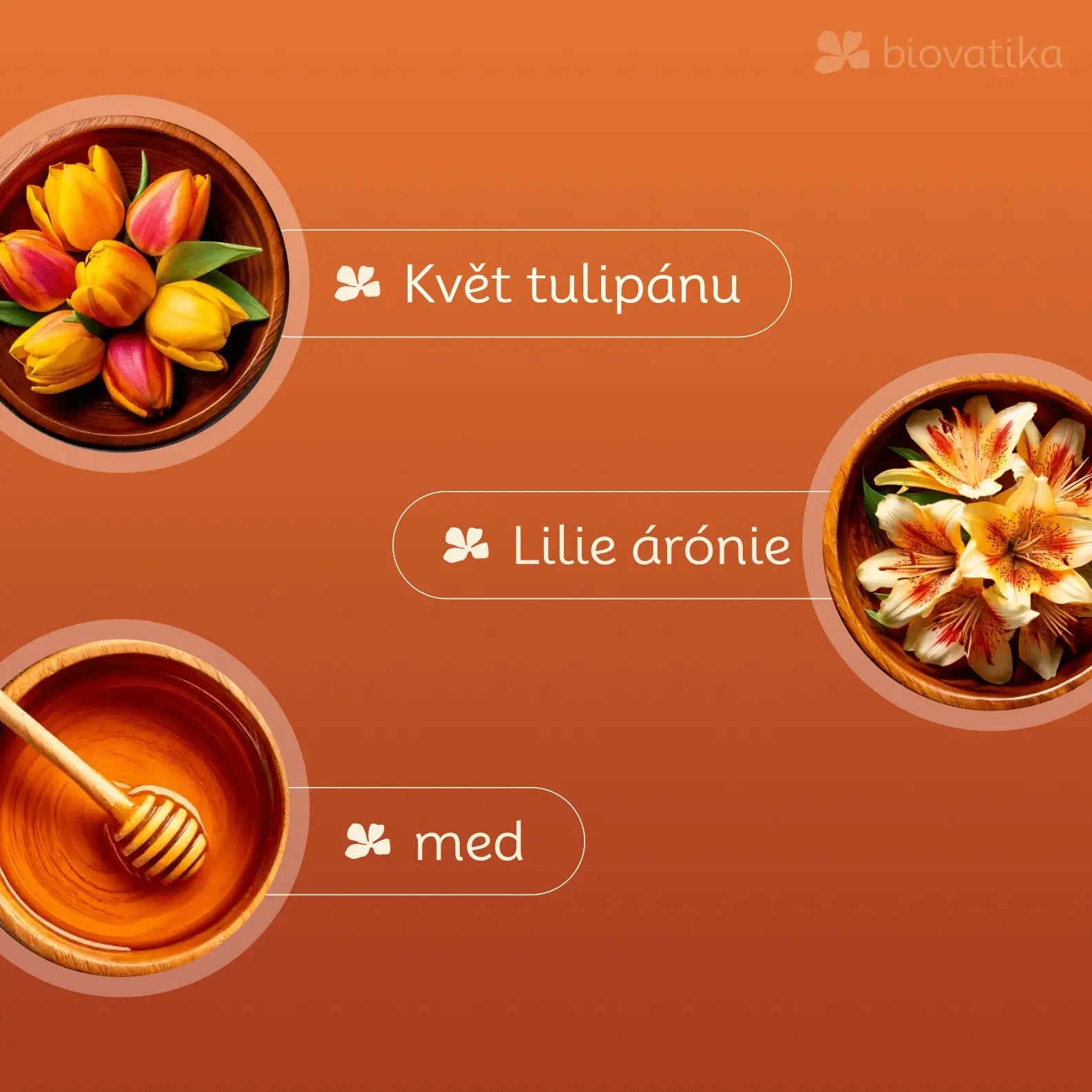 Medové pleťové tonikum – hydratace a zklidnění pleti